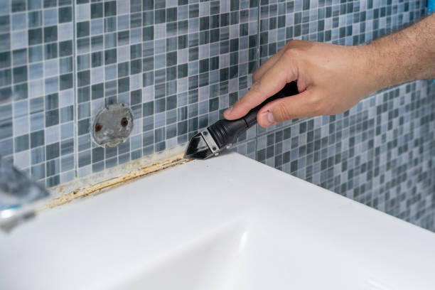 Best Commercial Mold Removal  in Pine Island, MN